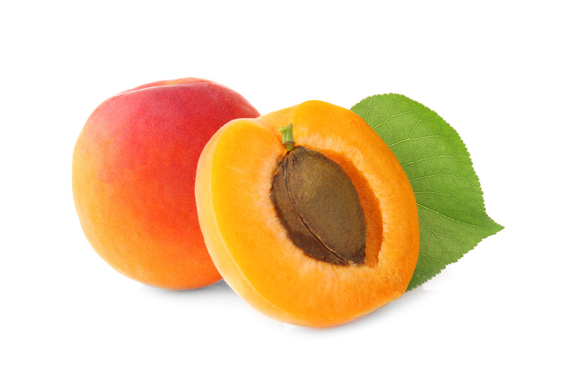Ingredient We Love: Apricot Kernel Oil