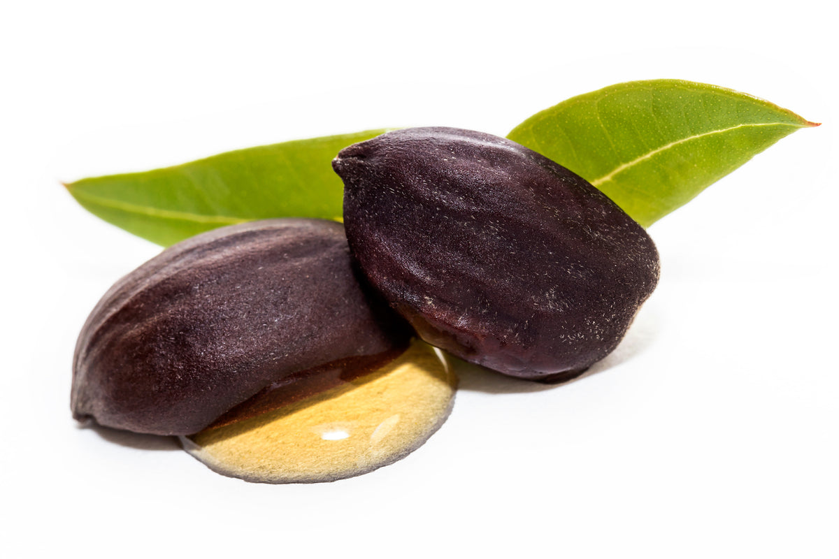 Ingredient We Love: Jojoba Seed Oil