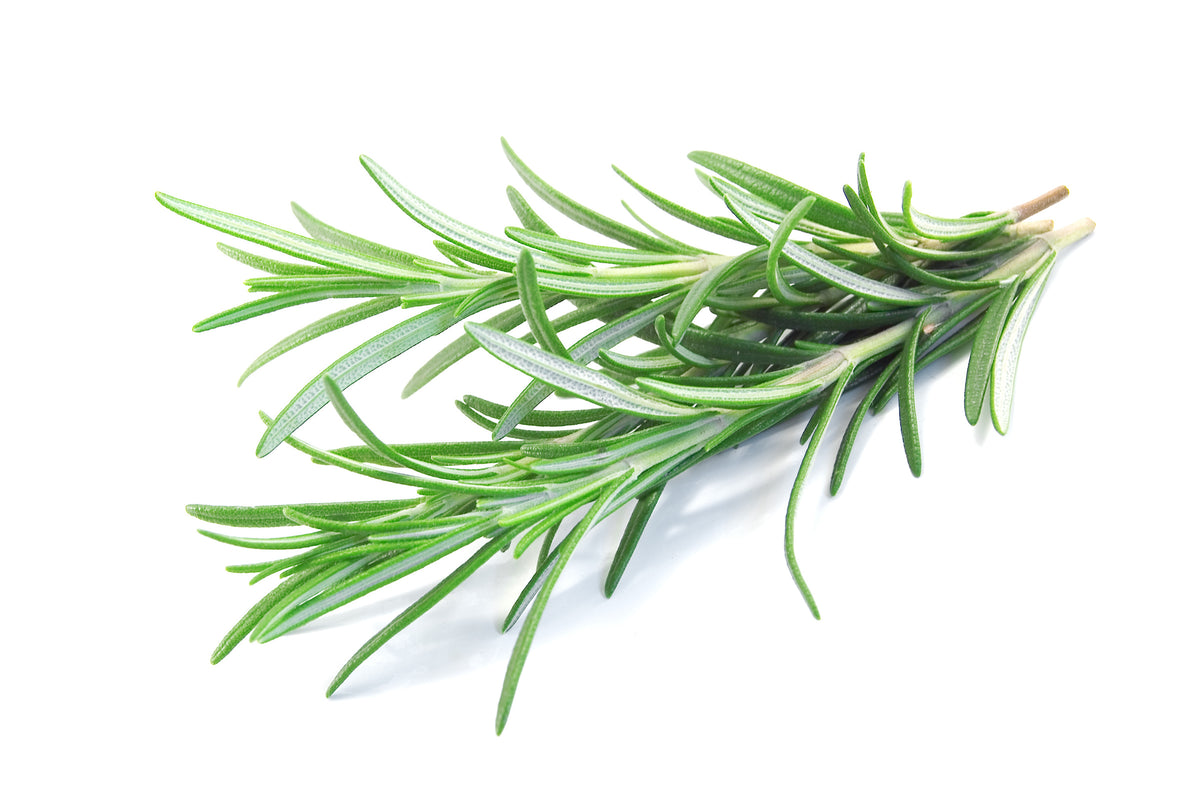 Ingredient We Love: Rosemary