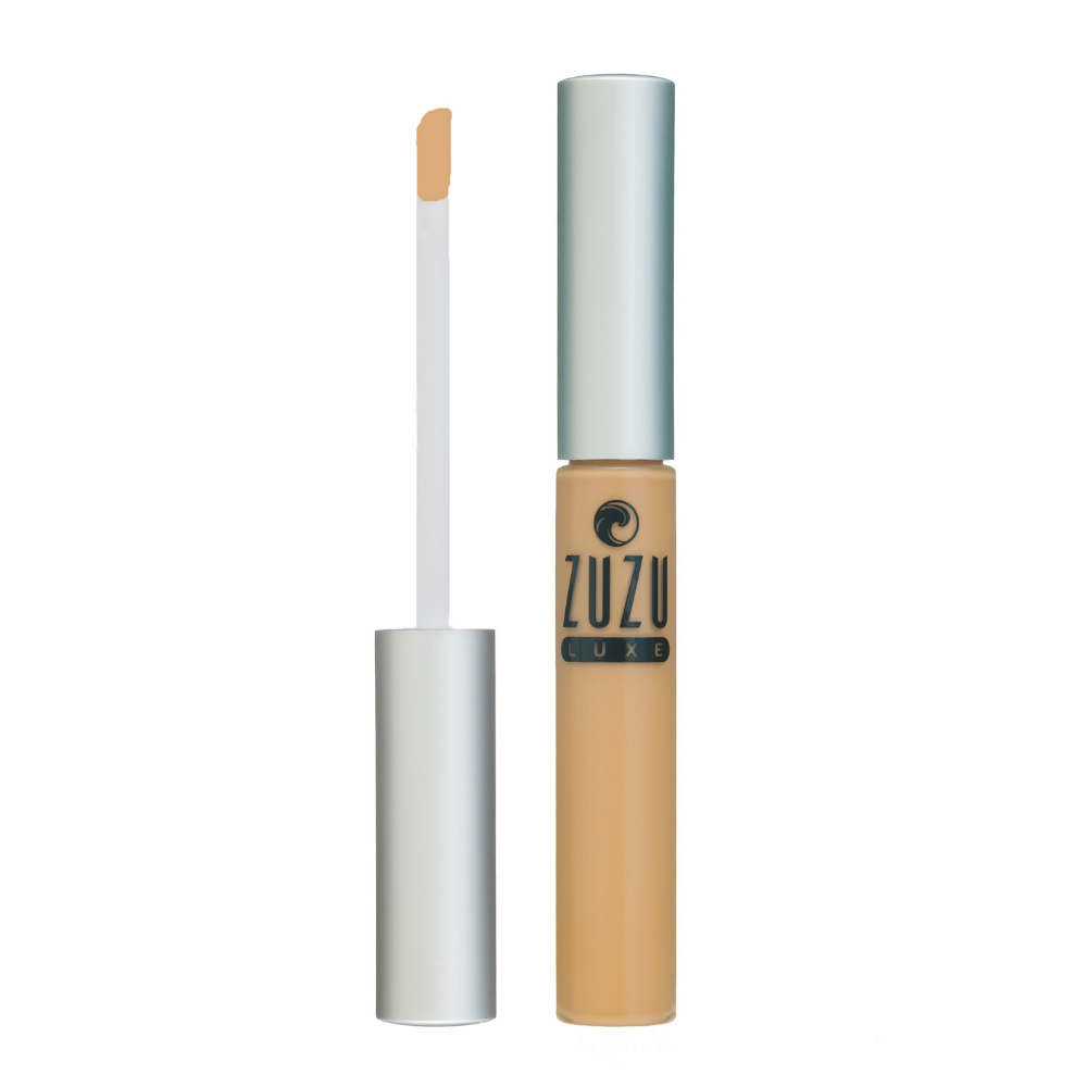 Concealer – gabrielcosmetics